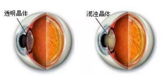 微信图片_20260115102545.png