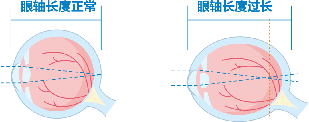 微信图片_20260117113133.png