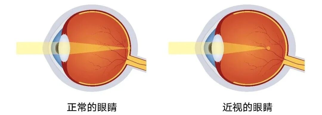 微信图片_20260119103723.jpg