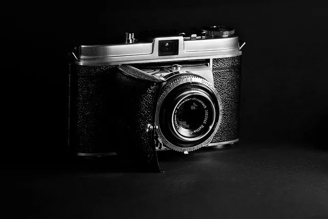 pixabay-微信图片_20260126104957.jpg