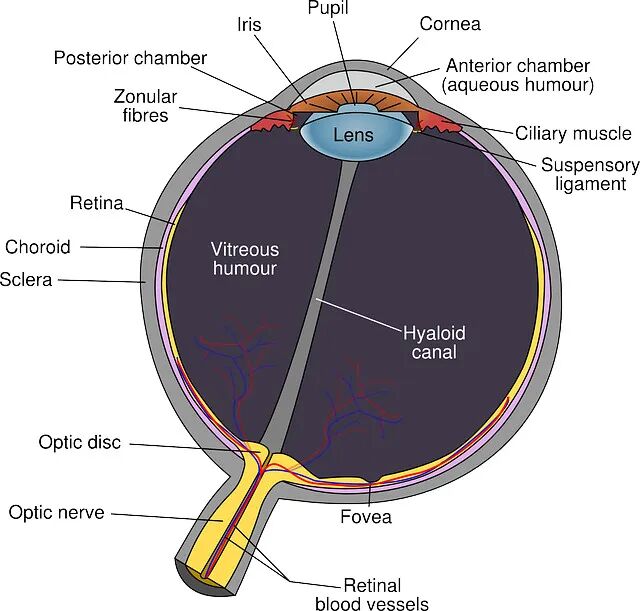 640 (2).jpg
