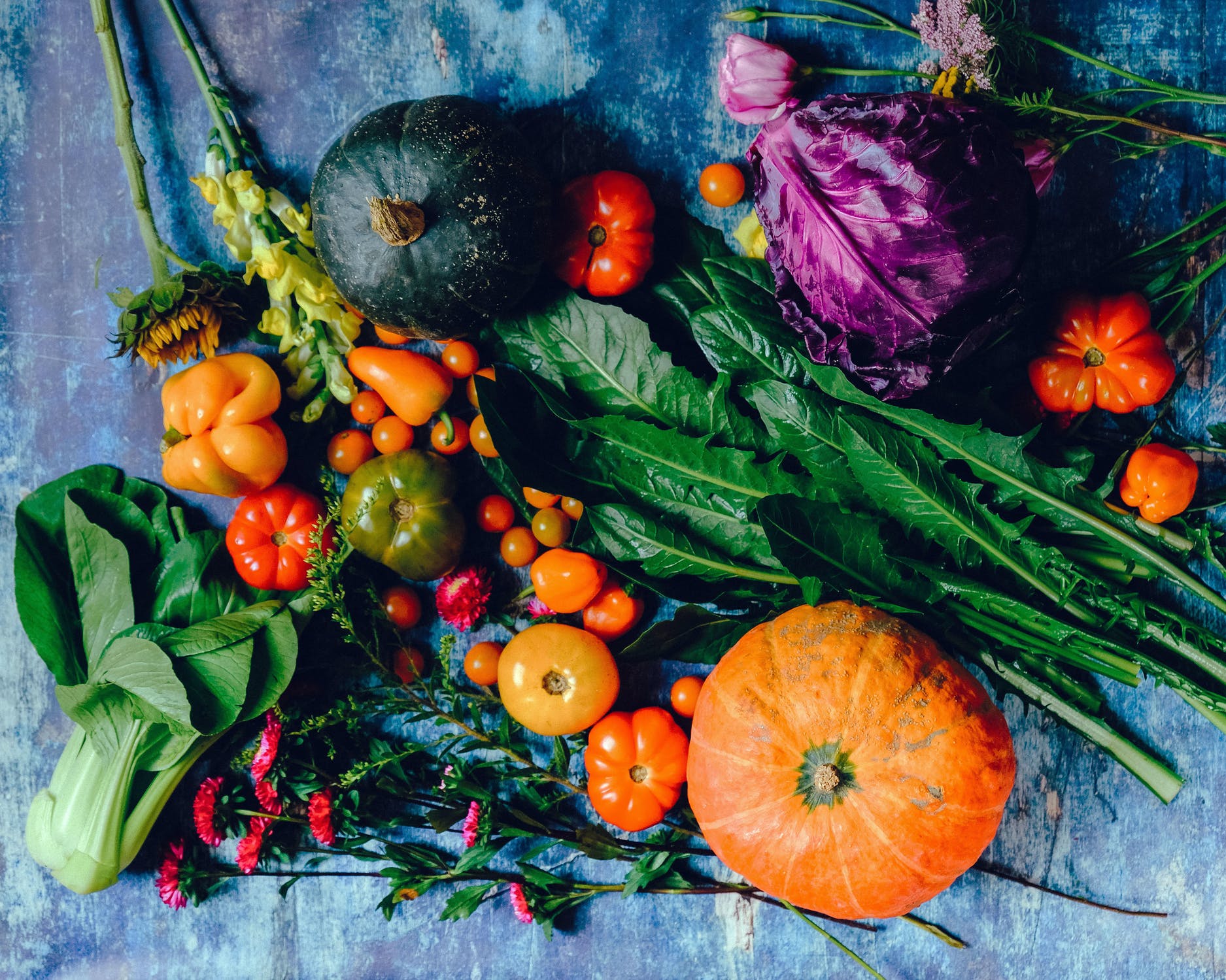 pexels-photo-1458694.jpeg