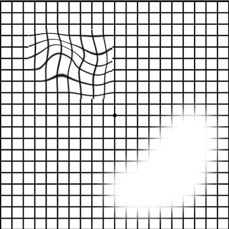 微信图片_20260210090732.png