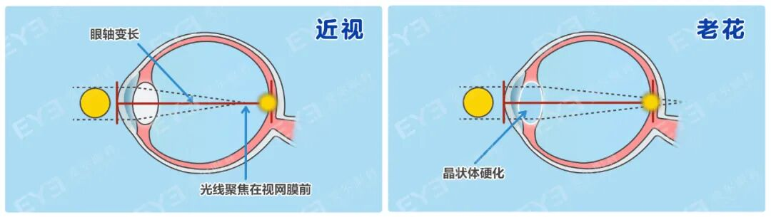 微信图片_20260213100818.png