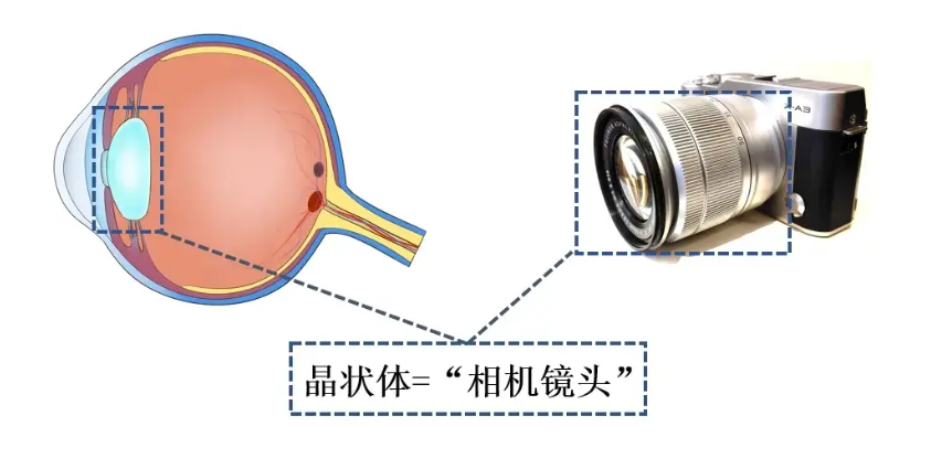 自制-微信图片_20260303103518.png