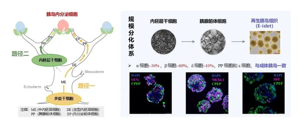 微信图片_20260318091802.jpg