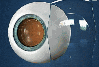 微信图片_20260119105114.gif
