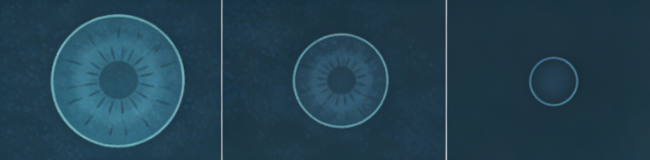 640.png